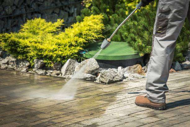 Best Restaurant Pressure Washing  in Wadena, MN