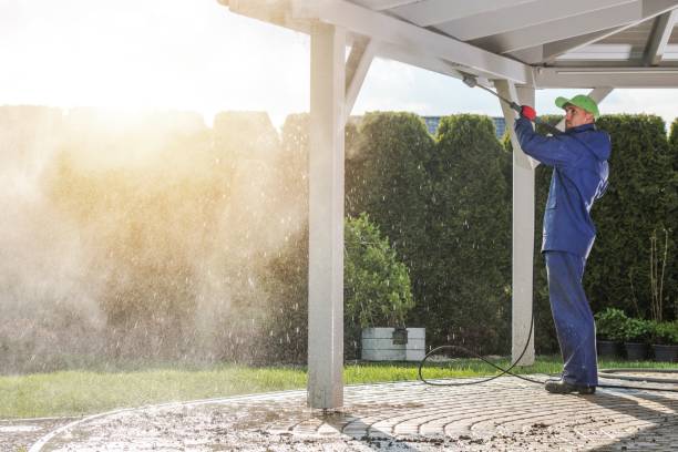Best Roof Washing  in Wadena, MN